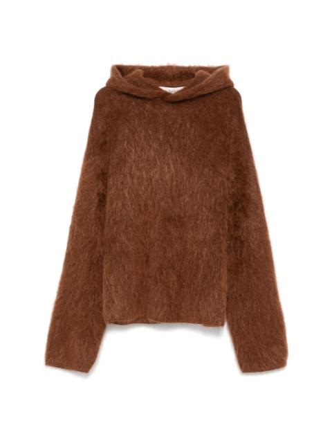 Séfr Ahti hoodie