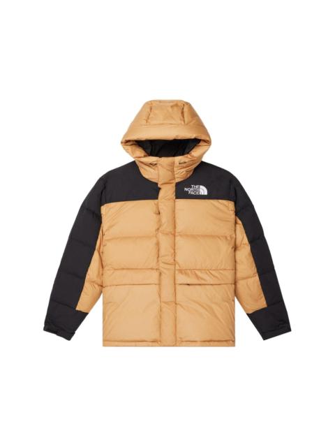 550 logo-embroidered padded jacket