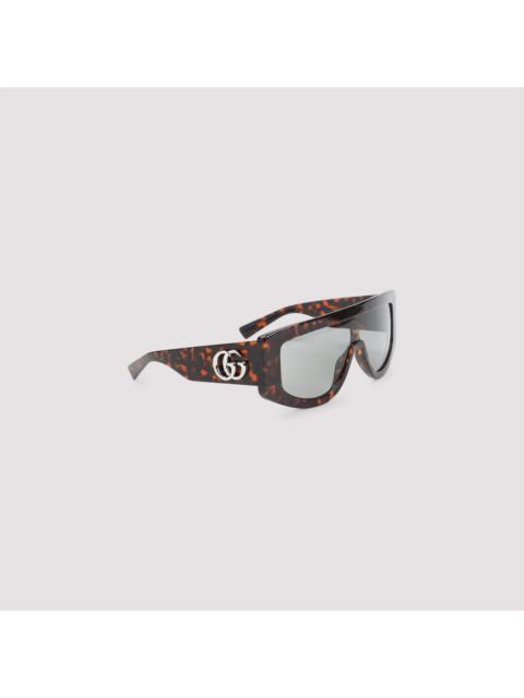 GUCCI Gucci Acetate Sunglasses