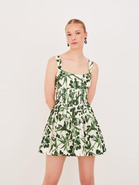 Cara Cara Ria Dress
Pintucked and Picture-Perfect