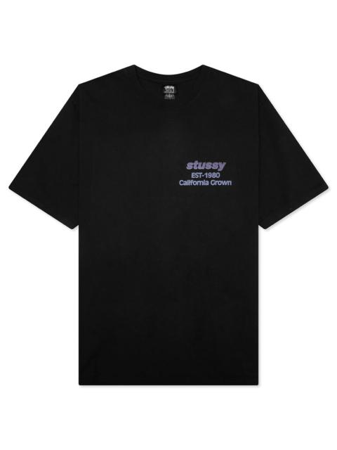 T-Shirt★Orange★ Dyed Pigment 『Stussy』California Grown