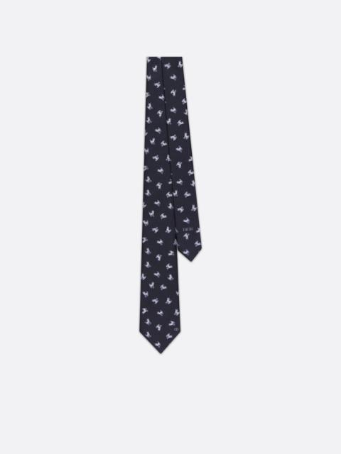 Dior DIOR AND HYLTON NEL Tie