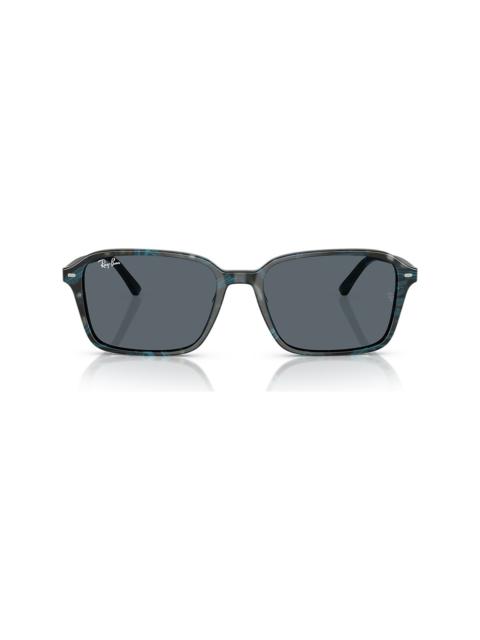 Ray-Ban RB2231 Raimond