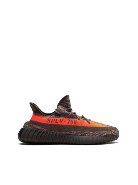 YEEZY YEEZY 350 "Carbon Beluga" sneakers