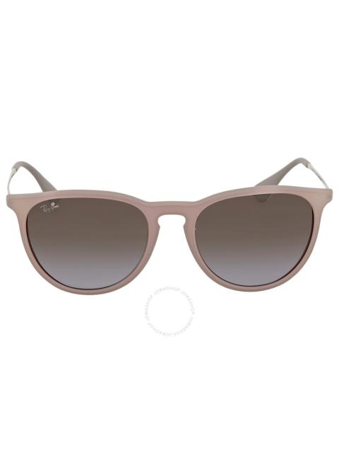 Ray-Ban Ray Ban Erika Classic Brown and Violet Gradient Sunglasses