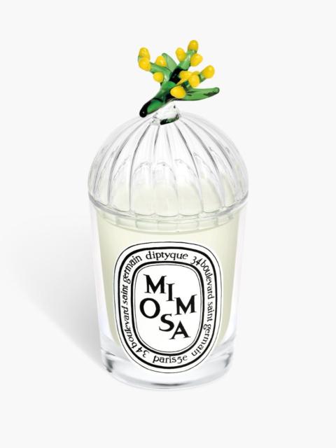 Diptyque Mimosa Lid - For classic candles
