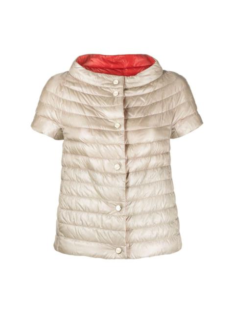 padded short-sleeve jacket