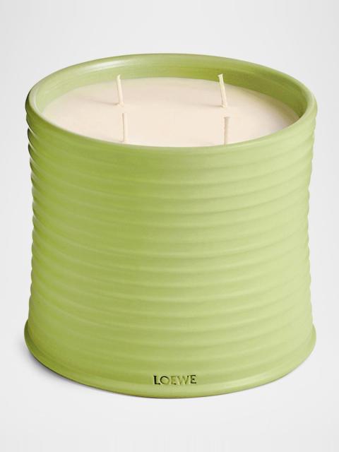 Loewe Large Cucumber Candle, 72.1 oz.