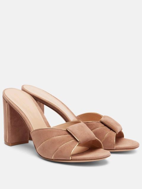 Gianvito Rossi Suede mules