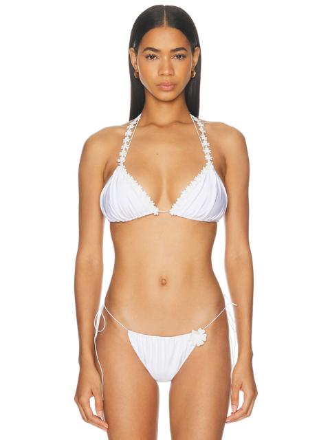 BANANHOT Orca Bikini Top