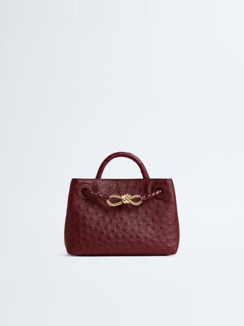 Bottega Veneta Mini Andiamo