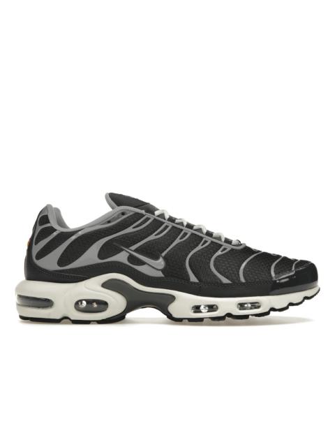 Nike Air Max Plus Greyscale Cool Grey