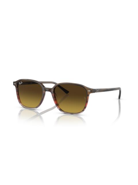 Ray-Ban LEONARD