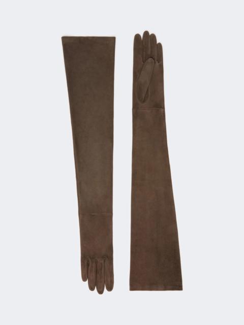 Max Mara ESTREMO Long suede gloves - DARK BROWN