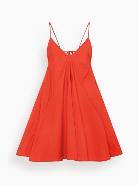 Another Tomorrow Flare Sun Dress in Vermilion