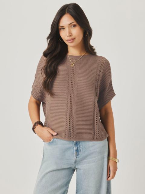 Splendid Everest Sweater