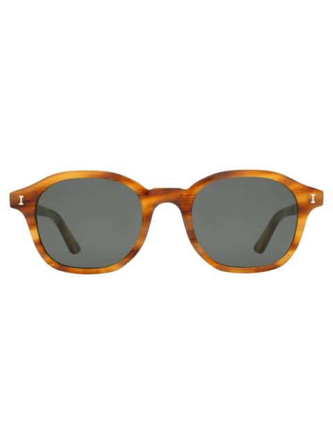 illesteva William Sunglasses