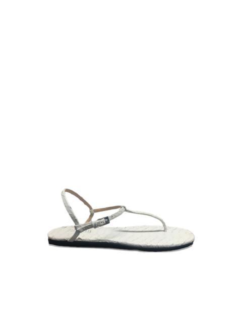 PARIS TEXAS buckle T-strap sandals