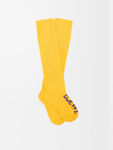 Loewe Socks in wool