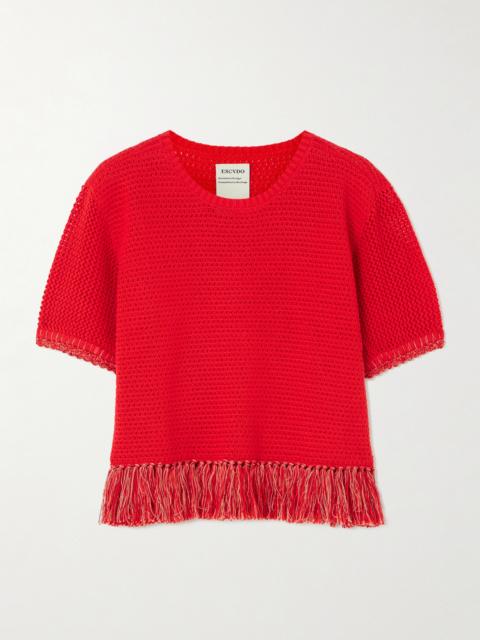 ESCVDO Amada Cropped Fringed Crocheted Cotton Top