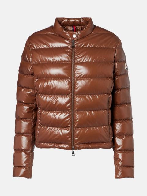Moncler Papillon down jacket