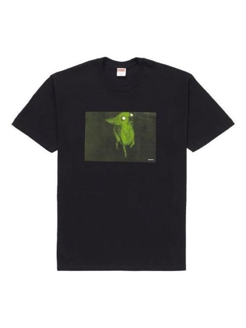 Supreme FW18 Chris Cunningham Chihuahua Black Tee SUP-FW18-834