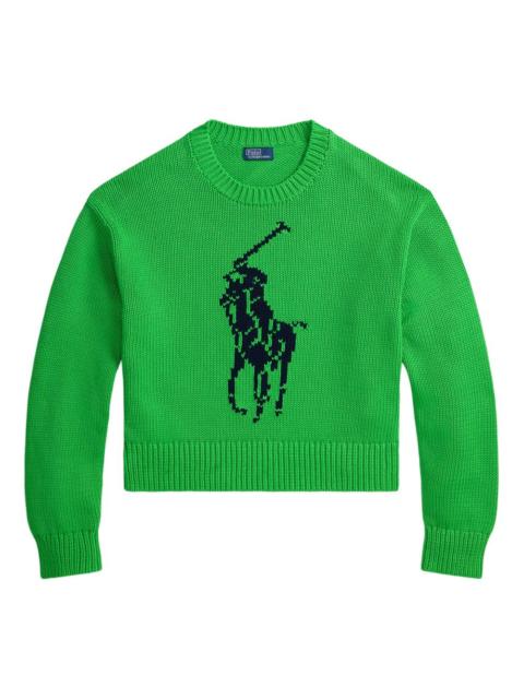 Polo Ralph Lauren graphic pp sweater