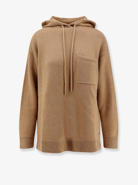 Max Mara Liana Wool And Cashmere Hooded Sweater