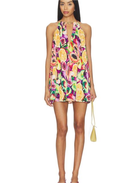 Show Me Your Mumu Lucille Mini Dress