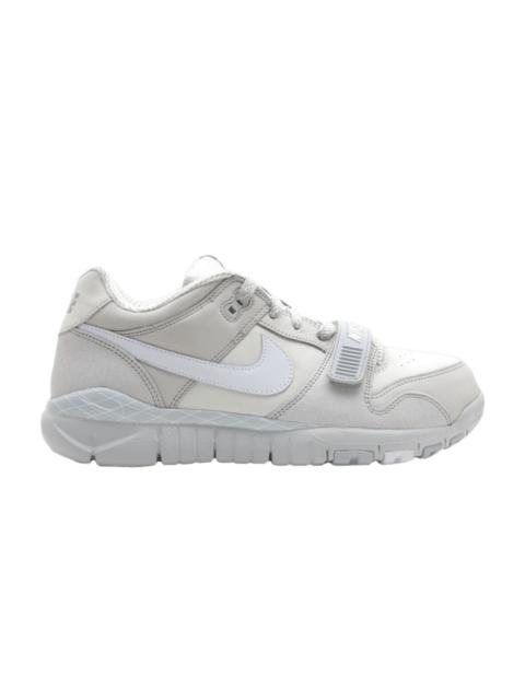 Nike Trainer Dunk Low