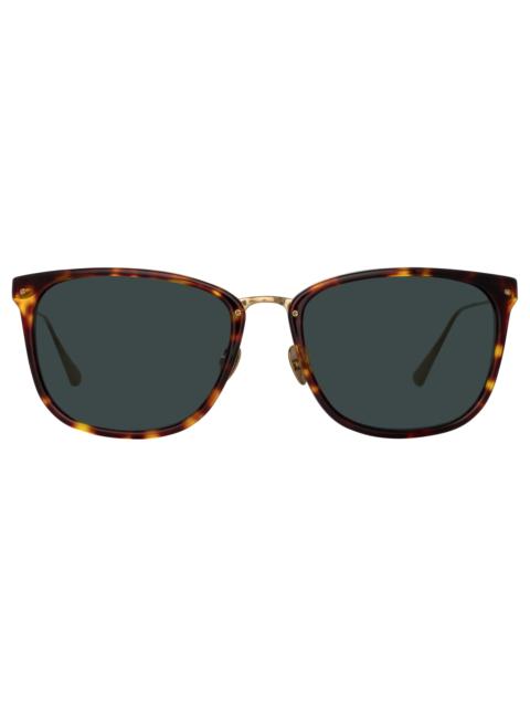 CASSIN D-FRAME SUNGLASSES IN TORTOISESHELL