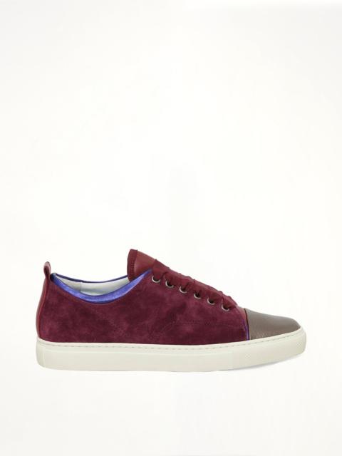 Lanvin Low Sneaker in Purple