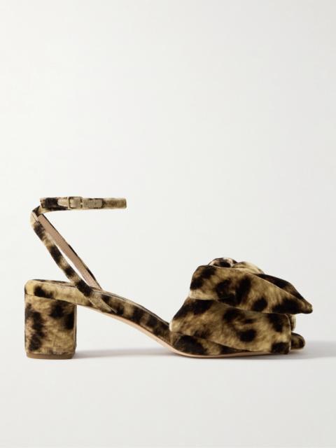 LOEFFLER RANDALL Carmen Bow-embellished Leopard-print Velvet Sandals
