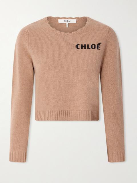 Chloé Scalloped Wool And Cashmere Blend Sweater