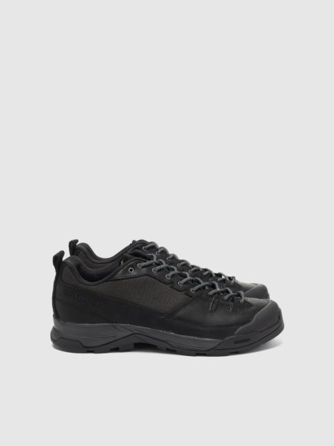 SALOMON X