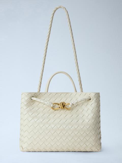 Bottega Veneta Medium Andiamo Handbag