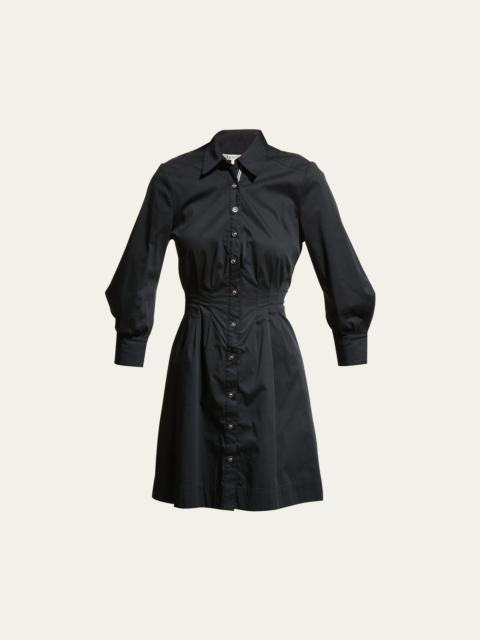 Polina Button-Front Pleated Shirt Dress
