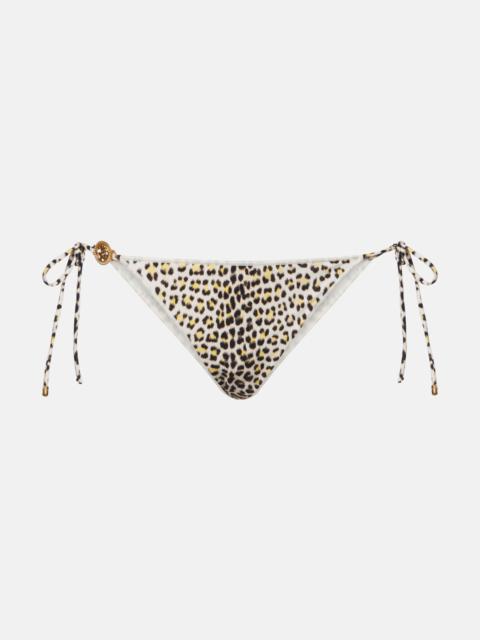 Roberto Cavalli Printed bikini bottoms