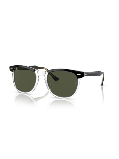 Ray-Ban EAGLE EYE