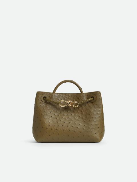 Bottega Veneta Small Andiamo
