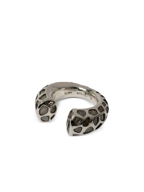 Parts of Four Druid ring