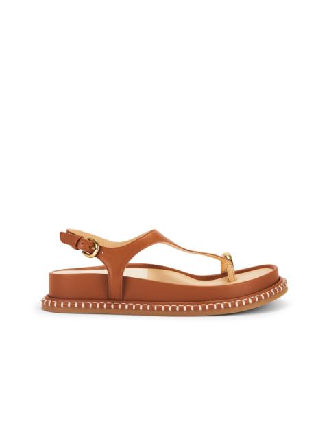 dolce vita Steffan Sandal in Brown