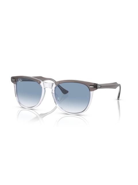 Ray-Ban EAGLE 아이