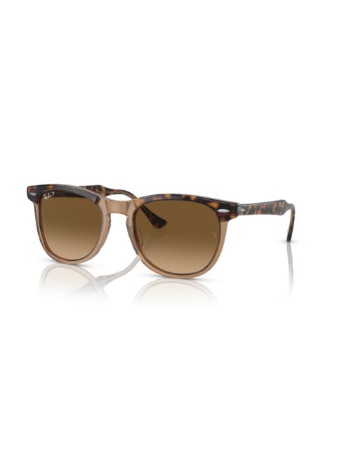 Ray-Ban EAGLE EYE