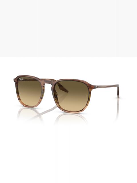 Ray-Ban RB2203