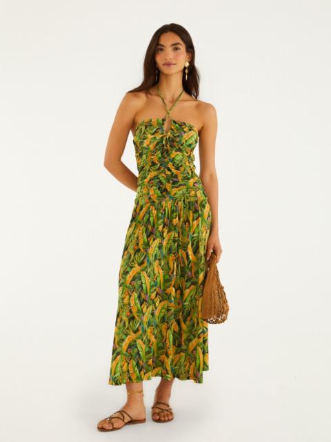 FARM RIO Forest Green Parrots Maxi Dress