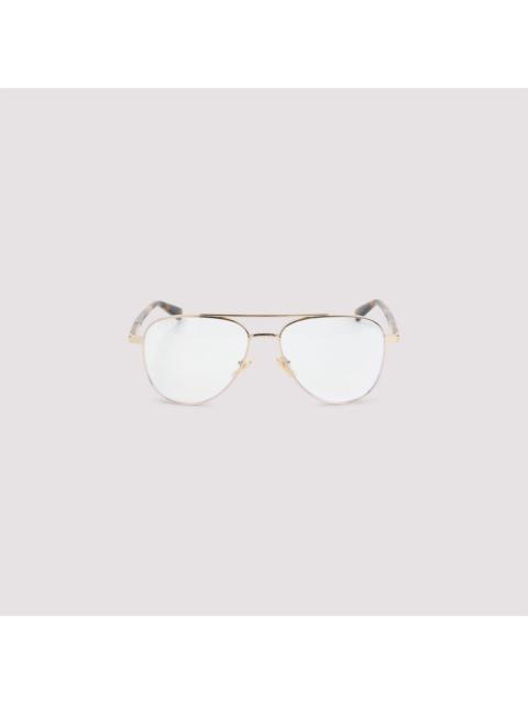 GUCCI Gucci Acetate Sunglasses