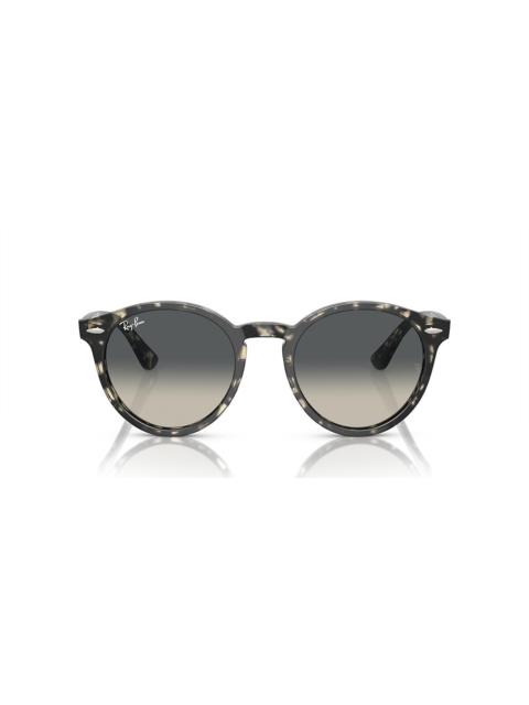 Ray-Ban RB7680S Larry