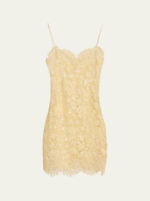 LoveShackFancy Jetta Sequined Floral Lace Mini Dress