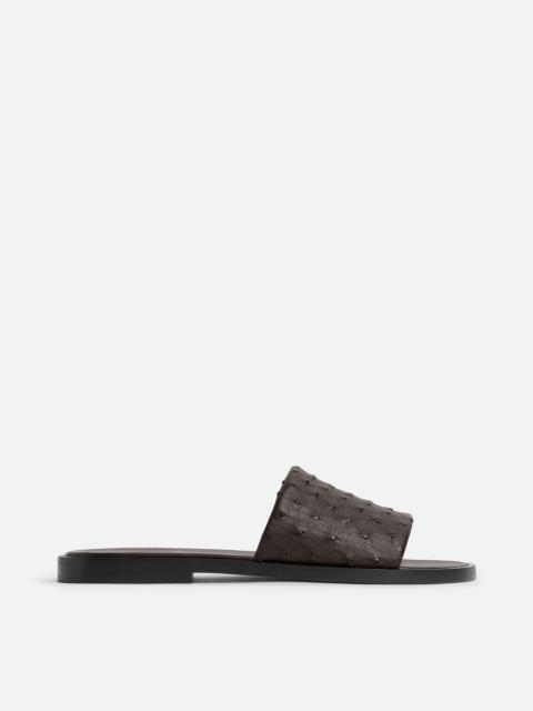 Bottega Veneta Elio Mule